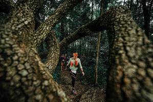 BIB: 
                            <button type="button" onclick="openModal(25674052)" class="btn btn-primary btn-sm float-right btn-popup" data-toggle="modal" data-target=".modal-high-quality">
                        <i class="fas fa-shopping-cart"></i> Add to Cart
                    </button>
                                            <button type="button" onclick="isThisMe(25674052, true)" class="btn btn-success btn-sm float-right btn-popup btn-isme hidden" data-toggle="tooltip" data-placement="bottom" title="นี่คือรูปของคุณใช่ไหม คลิกที่นี่เพื่อเอาเข้าอัลบั้ม">
                        <i class="fas fa-plus"></i> Add to album
                    </button>
                    <button type="button" onclick="isThisMe(25674052, false)" class="btn btn-warning btn-sm float-right btn-popup btn-isnotme hidden">
                        <i class="fas fa-ban"></i> Remove from album
                    </button>